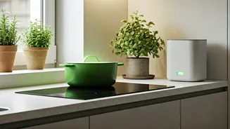 Small Kitchens Are Growing Big Green Energy