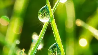 Why Getting Ten Minutes Of Morning Sunlight Helps Sync Your Natural Body Clock