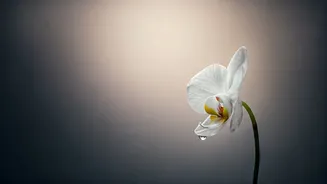 Your Ex's Wedding: Navigating the Emotional Minefield with Grace