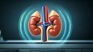 Kidney Guardians: Foods to Cut for Optimal Organ Health