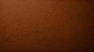 Earthy Terracotta Clay Wash Gives Apartments Deep Textured Walls