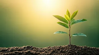 Long-Term Investing Is Winning Hearts