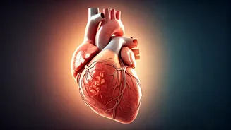 The Heart's Unseen Shield: How Constant Pumping May Prevent Cancer