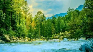 How Affordable Monthly Living Costs Draw Indian Freelancers To Scenic Kasol And Bir