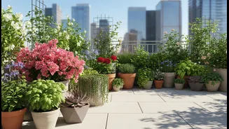 Terrace Plants Have Entered The Group Chat