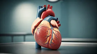 Check Your Heart After 30 for Good Health.
