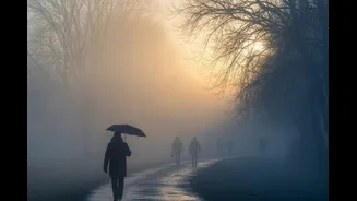 Cold Wave And Dense Fog Tighten Grip On Delhi; South India Braces For Rain | Forecast