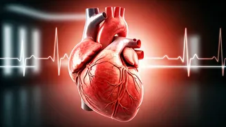 Stair Test: How Fast You Recover Reveals Your Heart's True Condition