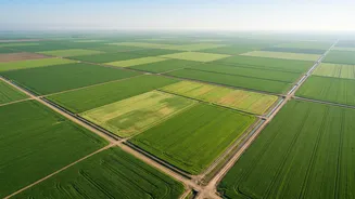 How Satellite Images Can Support Early Detection Of Crop Stress
