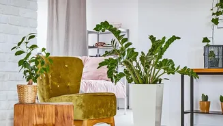 Natural Home Décor Trends Are Inspiring Urban Apartment Makeovers