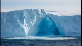 Understanding Antarctica's Missing Ice One Discovery At A Time