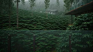 Coorg Resorts Experience Massive Spike In Quiet Monsoon Bookings