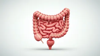 Bowel Health: Understanding and Maintaining Gut Wellbeing
