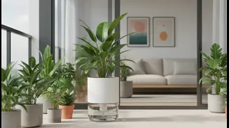 Urban India’s Plant Craze Fuels Interest In Automatic Watering Pots