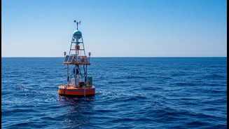 Marine Scientists Call For Stronger Ocean Observation Networks