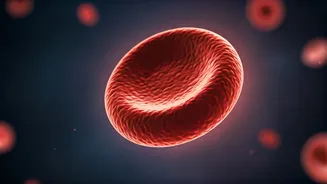 The Simple Blood Test That Banished a Decade of Sleepless Nights for a 77-Year-Old