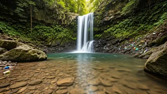 Jawhar Waterfall Cleanup: World Forest Day Underscores Eco-Responsibility