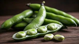 Gut-Friendly Fava Beans Are Entering Recipe Feeds