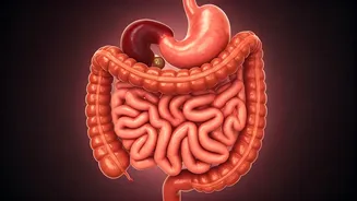 Unmasking Gluten Intolerance: Key Gastric Symptoms & Expert Insights