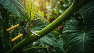 Pruning Keeps Monsoon Gardens From Going Wild