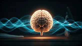 NEET Success: Mastering Your Mindset for Exam Day Excellence