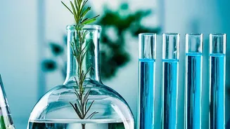 What Every Plant Parent Should Know About Indoor Air Research