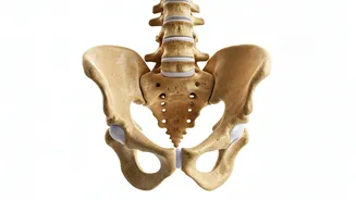 Ditch Stiff Backs Try Specialized Hip Opening Yoga Flows Today