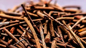 Real Ceylon Cinnamon Forms a Soft, Cigar-Like Layered Quill