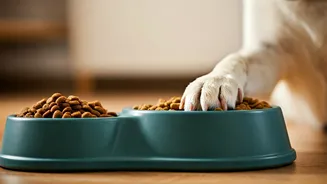 Activity-Specific Meals Put Pets On Wellness Plans