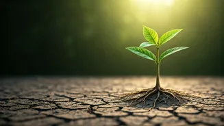 Why Indian Youth Are Chasing Sustainable Long Term Fitness
