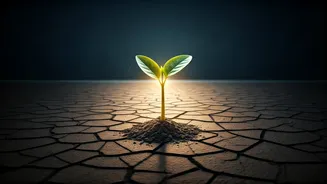 Unlocking Success: Psychological Secrets for a Fulfilling Life Journey