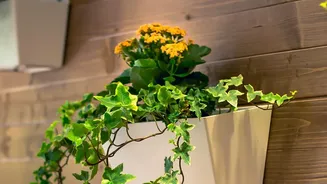 Apartment Gardening Hacks: Vertical Waterproofing Panels Guard Balcony Plants Against Rains