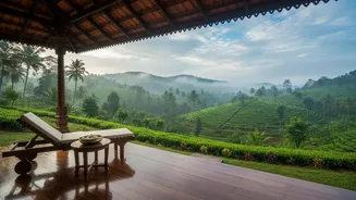 Why Overworked City Millennials Are Heading To Rainy Kerala For Traditional Ayurvedic Care