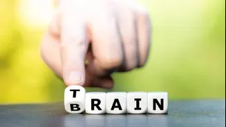 Does brain training improve IQ?
