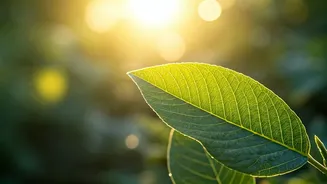 Heat-Aware Training Saves Fitness From Stupidity