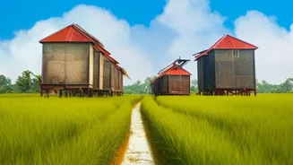 India's Three Growing Seasons Makes Rabi Timing a Timely Reader Check