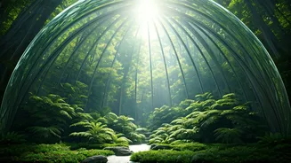 Clean Air, Clear Minds: A Path to Wellness