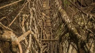 Avoid Peak Winter Crowds By Visiting Meghalaya Cascades And Living Root Bridges This Autumn