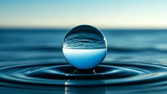 Rumi's Profound Quote: The Ocean Within