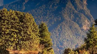 The Lesser-Known Deo Tibba Trail Climbs through Kullu's Changing Landscapes