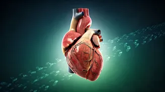 Related Stories banner