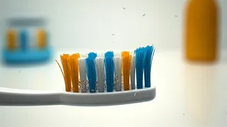 Unseen Threats: What's Lurking on Your Toothbrush?