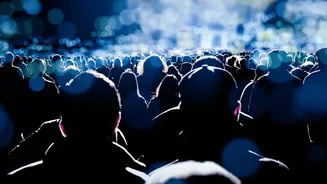 Short-Form Video Shift How Changing Consumer Focus Spans Affect Feature Film Success