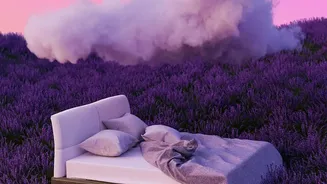 Experts Decode Why Humid Weather Makes Peaceful Sleep More Difficult