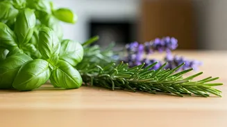 Banish Bugs Naturally: 8 Indoor Plants That Keep Your Home Pest-Free