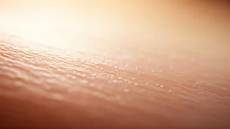 Glass Skin Is Back: Why Skin Barrier Care Is Winning