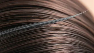 Early Graying: Unveiling the Hidden Causes