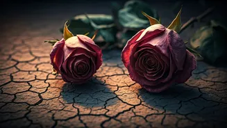 5 Silent Signals: Is Your Relationship Heading Towards a Breakup?