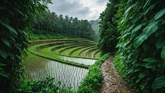 Monsoon Makes Island Landscapes Dramatic And Fresh