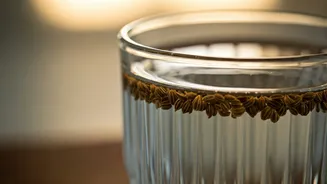 Vloggers Swear By Carom Seed Water For Morning Resets